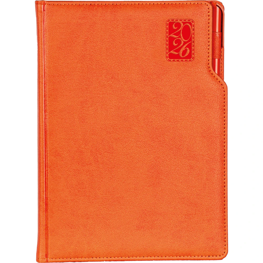 Başakşehir-T Daily Agenda