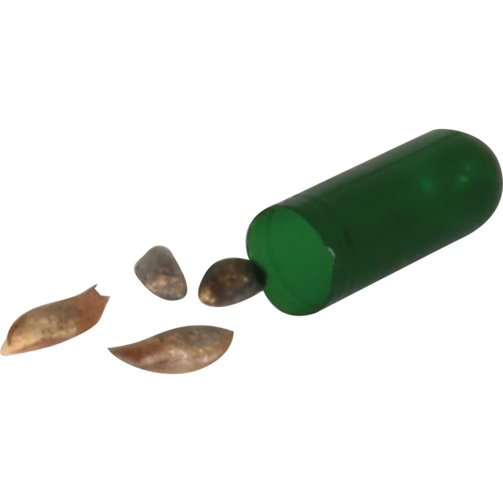 0522-80 Lead Pencil with Seed