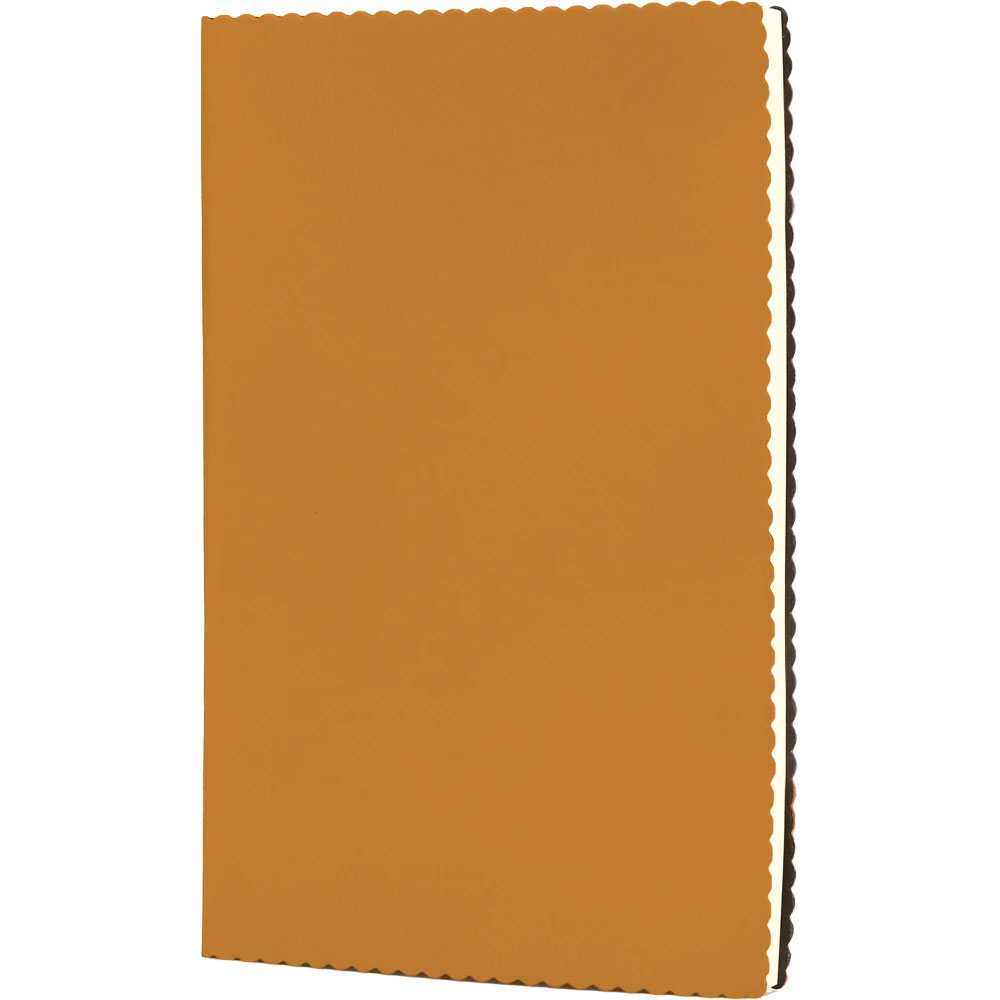 Erciyes-TB Undated Notebook