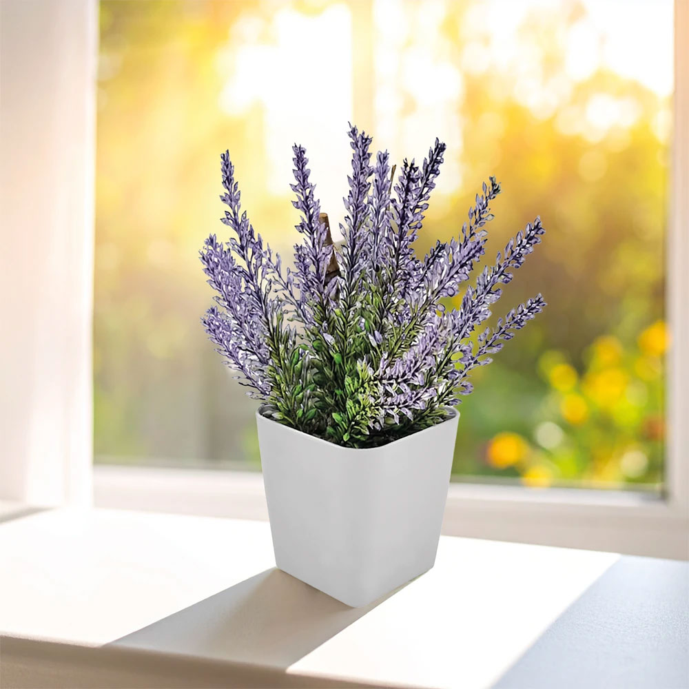 CK-2015 Plant Growing Set