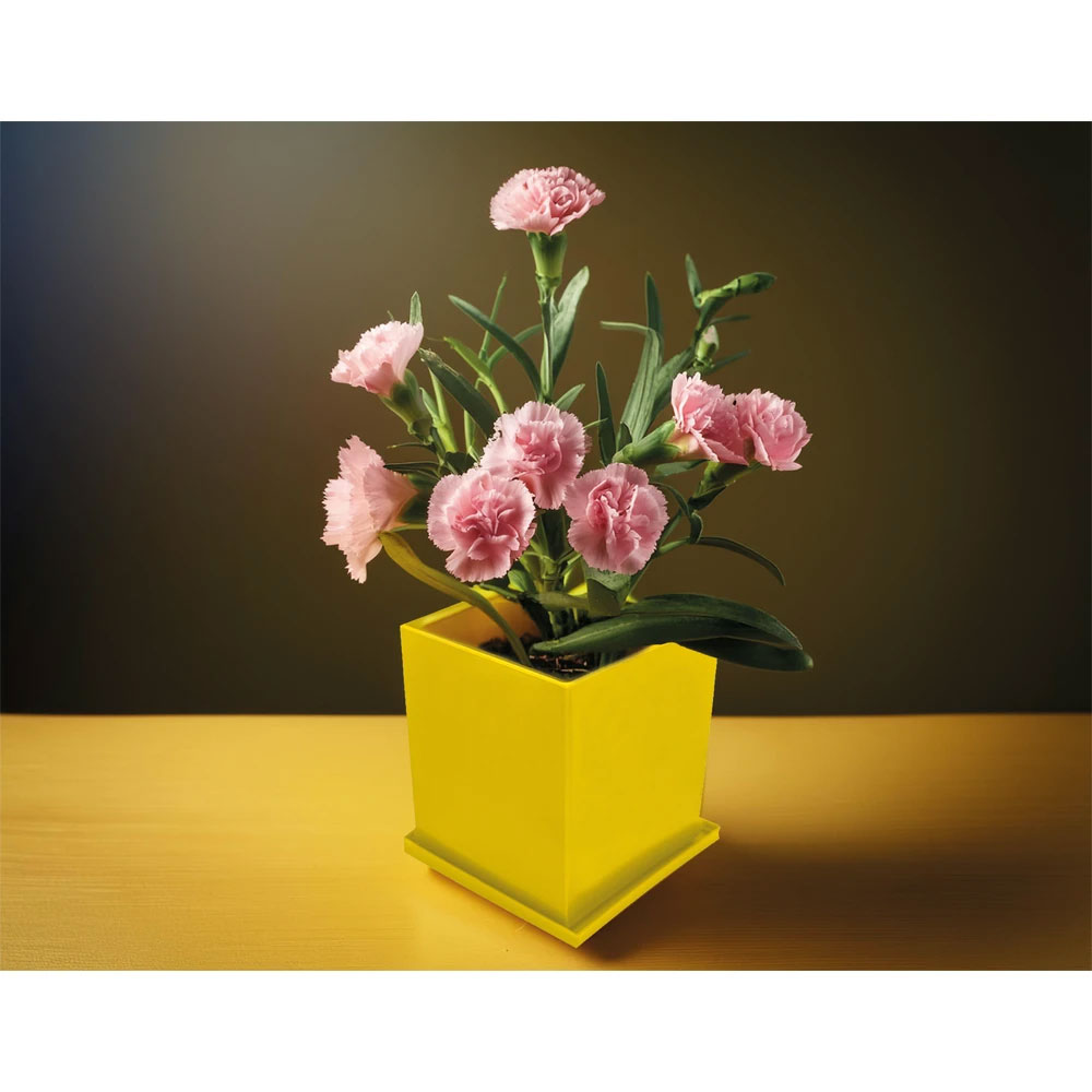 CK-2035 Covered Planting Set