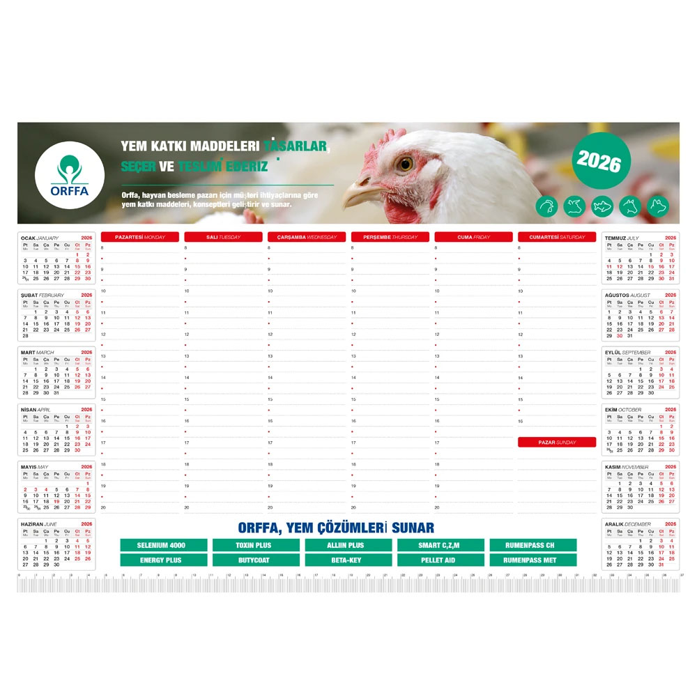 MS-20-48x34 Undated Desk Pad